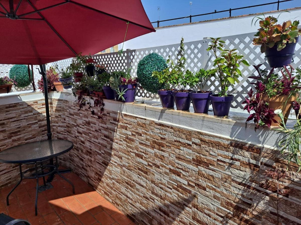 Apartment Atico Duplex Marques De Reyes *