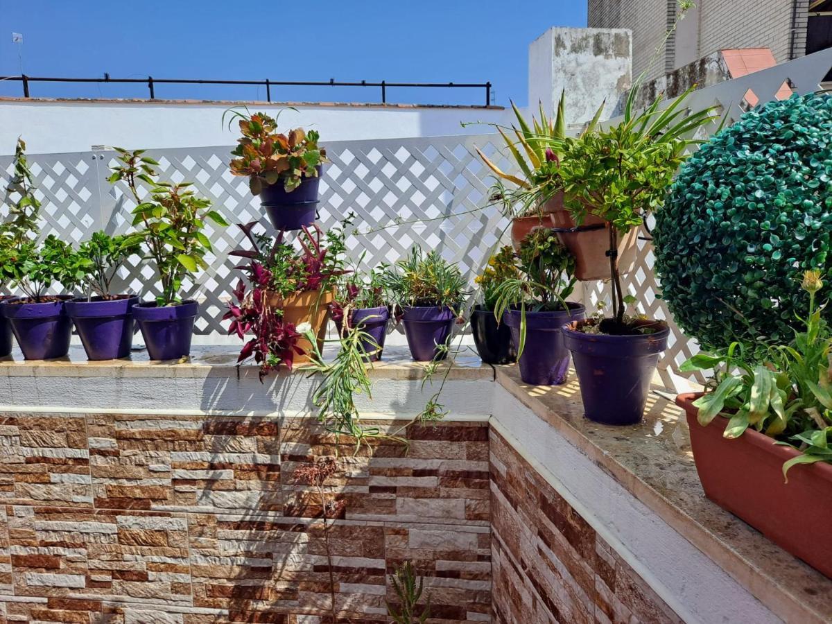 Apartment Atico Duplex Marques De Reyes